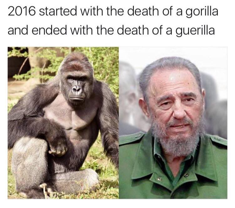 jokes funny memes Most funniest jokes and funny pictures of the week