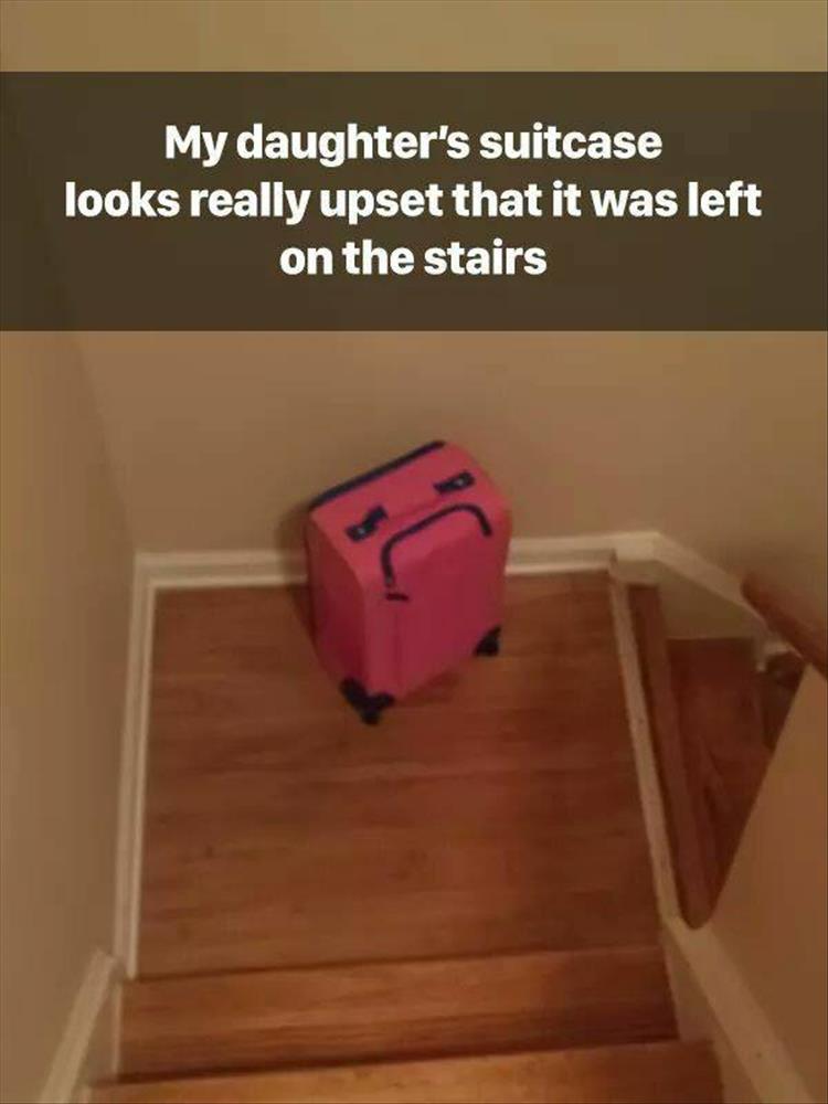 best funny memes on the